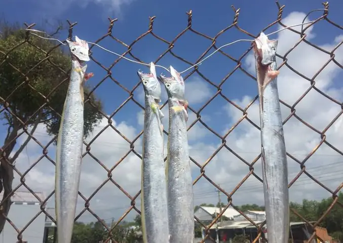 10 Cách Bảo Quản Thức Ăn Đã Nấu Chín Hiệu Quả và An Toàn