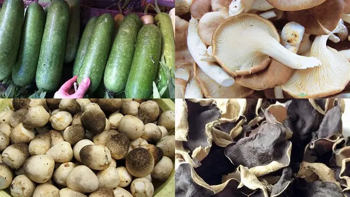 Cách Cắt Bí Nấu Canh: Chuẩn Đẹp, Nhanh Gọn và Dễ Dàng Cách Cắt Bí Nấu Canh: Chuẩn Đẹp, Nhanh Gọn và Dễ Dàng