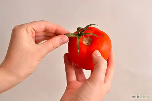 Cách Cắt Cà Chua Nấu Canh Đơn Giản, Nhanh Chóng Tại Nhà