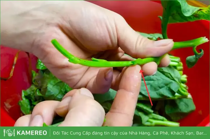 Hướng Dẫn Chi Tiết Cách Cắt Rau Mồng Tơi Nấu Canh