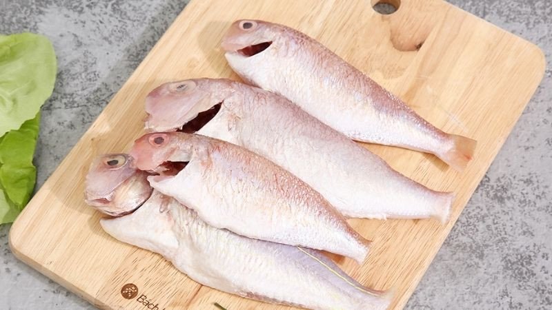 Cách chọn cá hường tươi ngon để chế biến món cá hường chiên sả