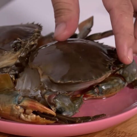 Cách chọn cua biển ngon cho món lẩu