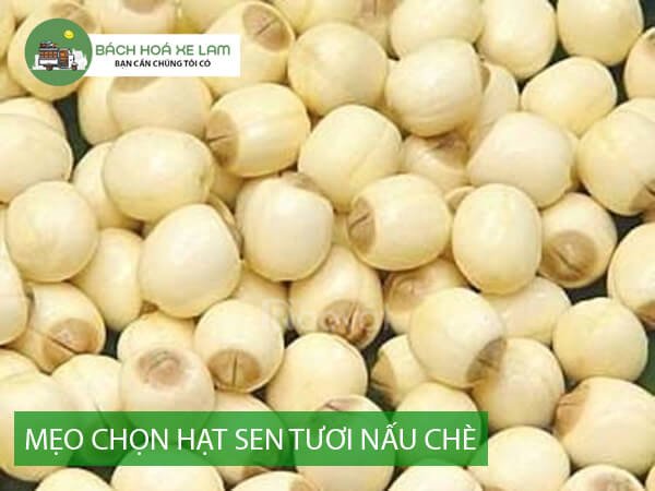 Cách Chọn Hạt Sen Tươi Nấu Chè Bạch Quả