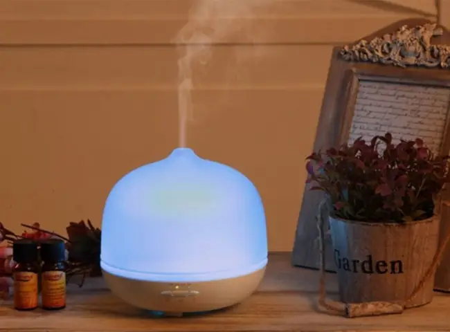 Khử Mùi Nấu Ăn Trong Phòng Trọ: 16 Giải Pháp Đơn Giản, Hiệu Quả Khử Mùi Nấu Ăn Trong Phòng Trọ: 16 Giải Pháp Đơn Giản, Hiệu Quả