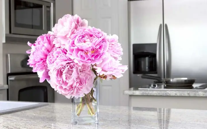 Khử Mùi Nấu Ăn Trong Phòng Trọ: 16 Giải Pháp Đơn Giản, Hiệu Quả Khử Mùi Nấu Ăn Trong Phòng Trọ: 16 Giải Pháp Đơn Giản, Hiệu Quả