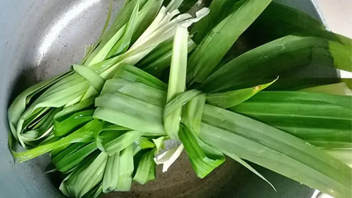 Khử Mùi Nấu Ăn Trong Phòng Trọ: 16 Giải Pháp Đơn Giản, Hiệu Quả Khử Mùi Nấu Ăn Trong Phòng Trọ: 16 Giải Pháp Đơn Giản, Hiệu Quả