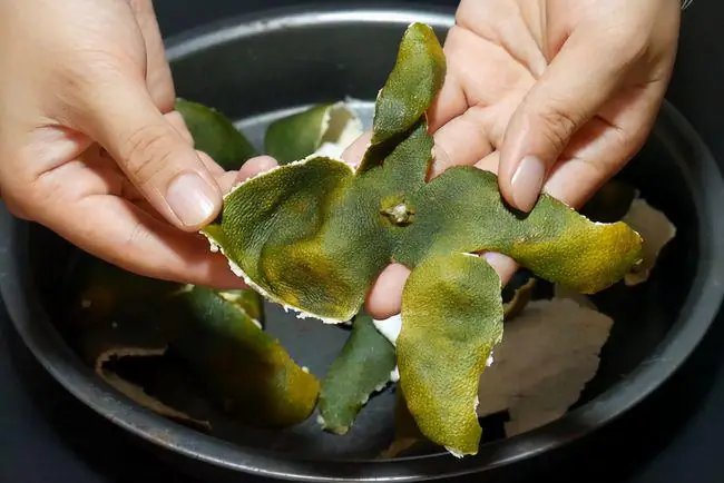 Khử Mùi Nấu Ăn Trong Phòng Trọ: 16 Giải Pháp Đơn Giản, Hiệu Quả Khử Mùi Nấu Ăn Trong Phòng Trọ: 16 Giải Pháp Đơn Giản, Hiệu Quả