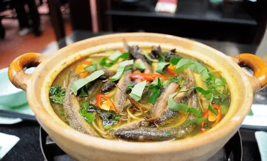Cách Làm Cá Chạch Nấu Chuối Thơm Ngon Chuẩn Vị Miền Tây Cách Làm Cá Chạch Nấu Chuối Thơm Ngon Chuẩn Vị Miền Tây