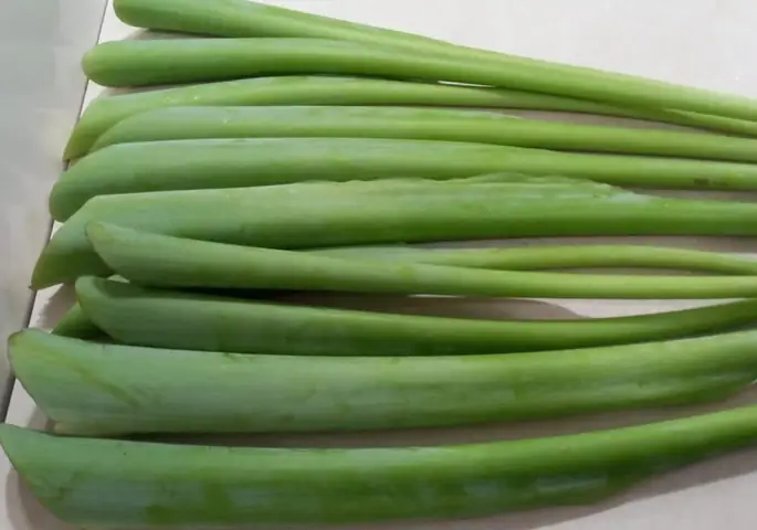 Cách chọn dọc mùng (bạc hà) giòn ngon