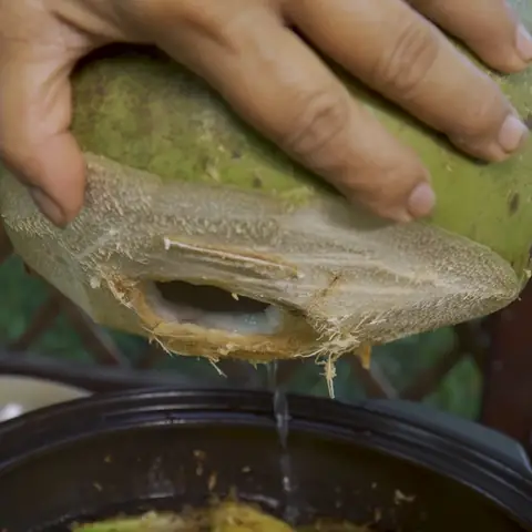 Cách Làm Ếch Nấu Mẻ Thơm Ngon, Đậm Đà Chuẩn Vị Tại Nhà Cách Làm Ếch Nấu Mẻ Thơm Ngon, Đậm Đà Chuẩn Vị Tại Nhà