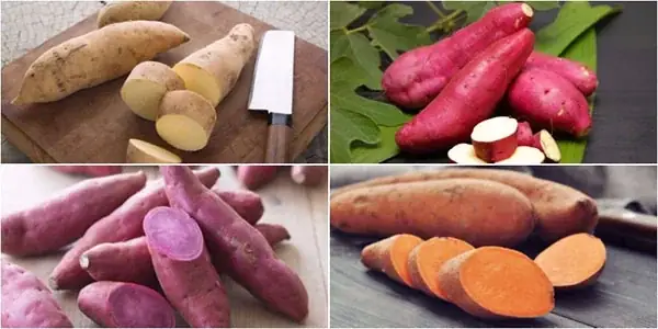 Hướng Dẫn Chi Tiết Cách Làm Khoai Dẻo Nấu Chè Dẻo Thơm Tại Nhà