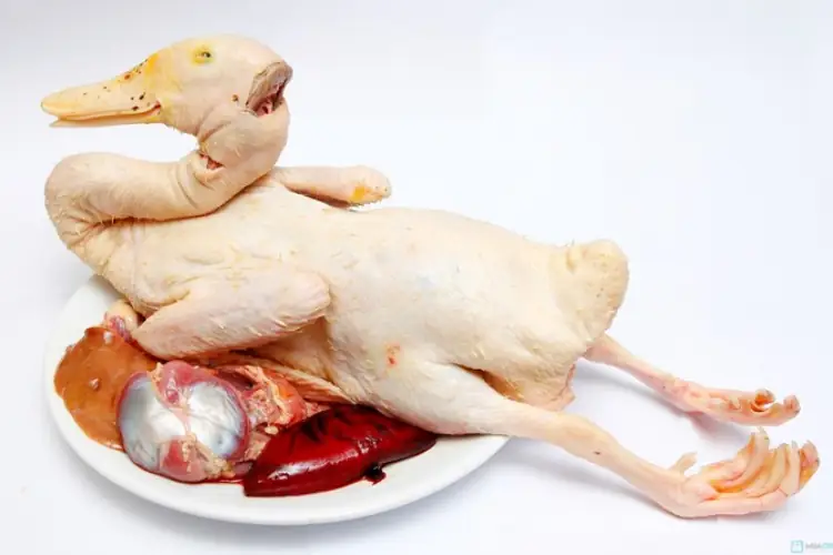 cách làm lẩu vịt om sấu