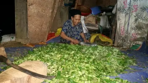 Cách làm men nấu rượu: Hướng dẫn chi tiết từ A đến Z