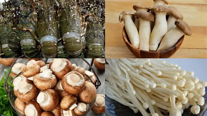 Hướng Dẫn Chi Tiết Cách Làm Tôm Hùm Nấu Lẩu Thơm Ngon Hướng Dẫn Chi Tiết Cách Làm Tôm Hùm Nấu Lẩu Thơm Ngon