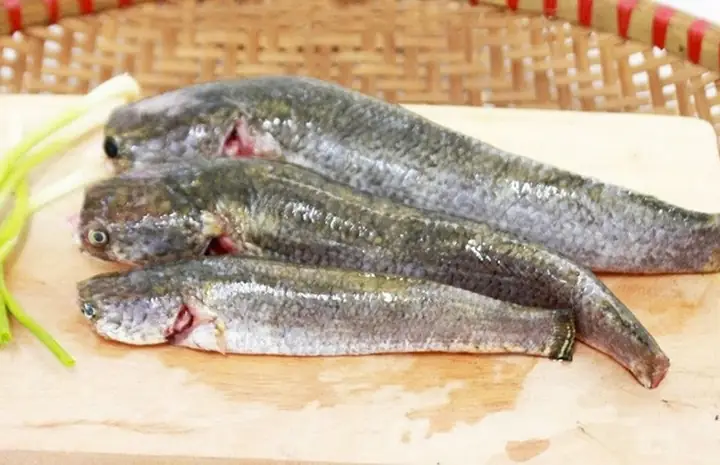 Cách Nấu Ám Cá Sộp Đậm Đà Hương Vị Xứ Huế Chuẩn Vị