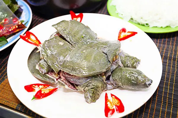 Cách Nấu Ba Ba Hầm Thuốc Bắc Đậm Đà Bổ Dưỡng Chuẩn Vị