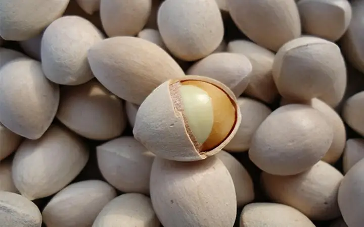 Hướng Dẫn Cách Nấu Bạch Quả Không Đắng Thơm Ngon Đúng Chuẩn