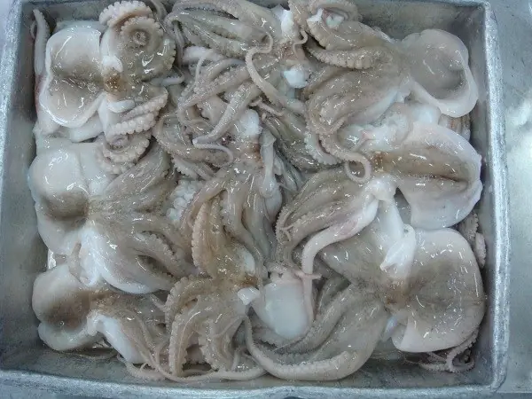 Cách Nấu Bạch Tuộc Hấp Thơm Ngon, Giòn Dai Chuẩn Vị Tại Nhà