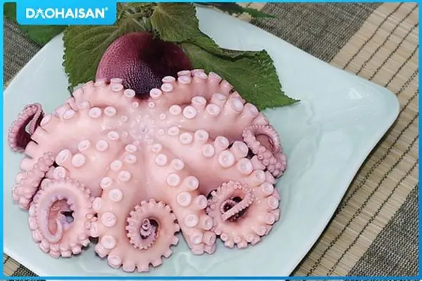 cách nấu bạch tuộc ngon