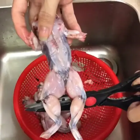 Hướng Dẫn Chi Tiết Cách Nấu Bánh Canh Ếch Ngon Chuẩn Vị Tại Nhà