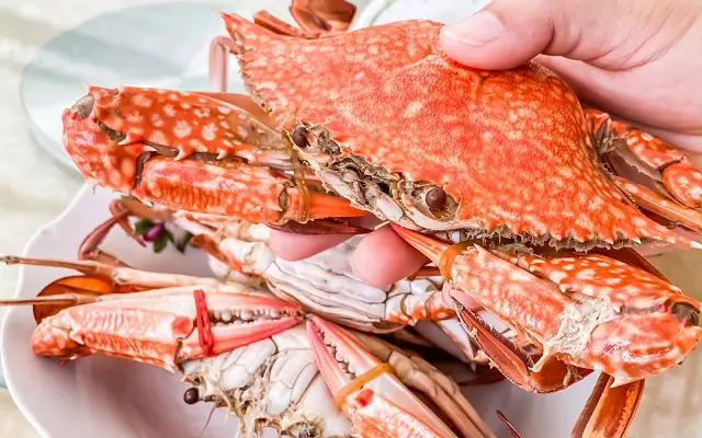 Công thức cách nấu bánh canh ghẹ Phú Quốc ngon chuẩn vị Công thức cách nấu bánh canh ghẹ Phú Quốc ngon chuẩn vị