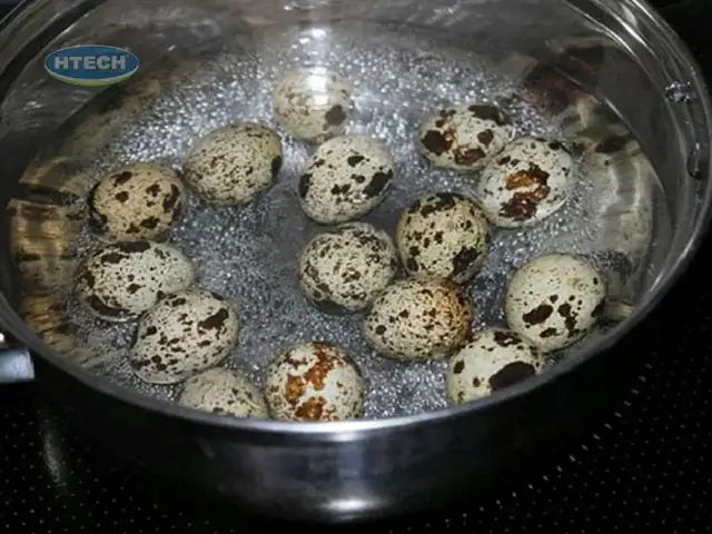 Hướng Dẫn Chi Tiết Cách Nấu Bánh Canh Tươi Chuẩn Vị Tại Nhà Hướng Dẫn Chi Tiết Cách Nấu Bánh Canh Tươi Chuẩn Vị Tại Nhà