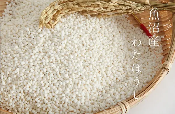Cách nấu bánh gạo Nhật dẻo thơm chuẩn vị tại nhà Cách nấu bánh gạo Nhật dẻo thơm chuẩn vị tại nhà