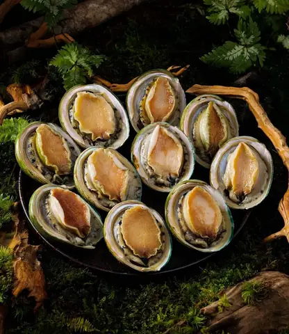 cách nấu bào ngư ngon