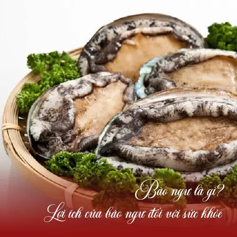 Hướng Dẫn Chi Tiết **Cách Nấu Bào Ngư Sốt Dầu Hào** Thơm Ngon Tại Nhà Hướng Dẫn Chi Tiết **Cách Nấu Bào Ngư Sốt Dầu Hào** Thơm Ngon Tại Nhà