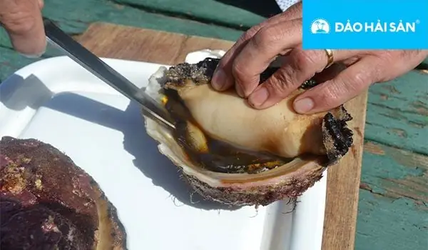 Bí Quyết Cách Nấu Bào Ngư Tươi Ngon, Đơn Giản Ai Cũng Làm Được