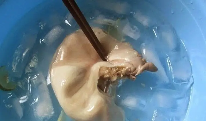 Cách Nấu Bao Tử Heo: 19 Công Thức Đậm Đà, Hấp Dẫn Khó Cưỡng