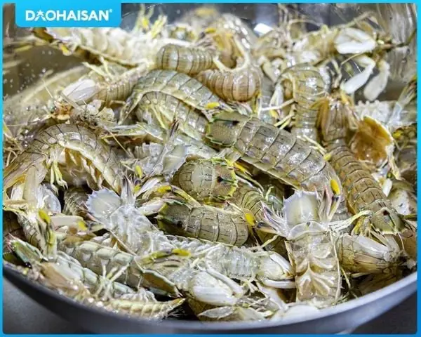 Cách Nấu Bề Bề Hấp: Hướng Dẫn Chi Tiết Chuẩn Vị Biển