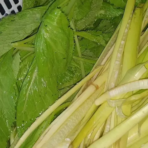 Cách Nấu Bím Bò Hầm Thuốc Bắc: Bí Quyết Ngon Bổ Chuẩn Vị