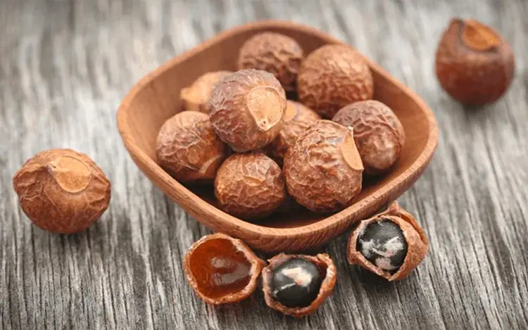 cách nấu bồ kết gội đầu