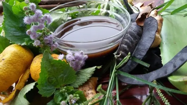 Cách Nấu Bồ Kết Và Hương Nhu Để Có Mái Tóc Khỏe Đẹp Cách Nấu Bồ Kết Và Hương Nhu Để Có Mái Tóc Khỏe Đẹp