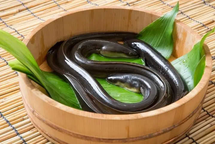 Cách Nấu Bột Hạt Sen Cho Bé Ăn Dặm Chuẩn Dinh Dưỡng