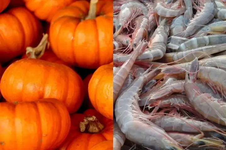 Cách Nấu Bột Hạt Sen Cho Bé Ăn Dặm Chuẩn Dinh Dưỡng