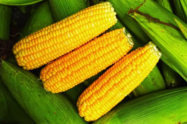 Cách nấu bột ngô cho bé ăn dặm: Công thức chuẩn dinh dưỡng