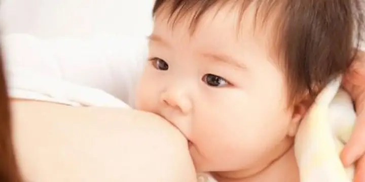 Cách Nấu Bột Với Sữa Mẹ Đúng Chuẩn Cho Bé Yêu Cách Nấu Bột Với Sữa Mẹ Đúng Chuẩn Cho Bé Yêu