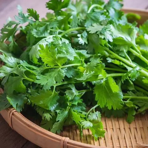 Hướng Dẫn Chi Tiết Cách Nấu Bún Bò Đà Lạt Chuẩn Vị Gia Truyền