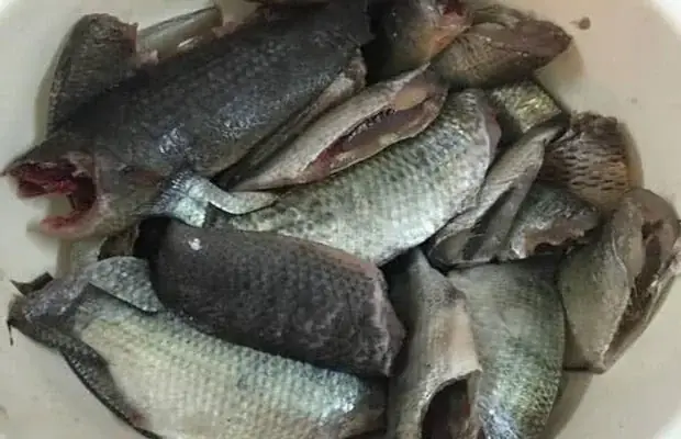 cách nấu bún cá rô đồng cách nấu bún cá rô đồng