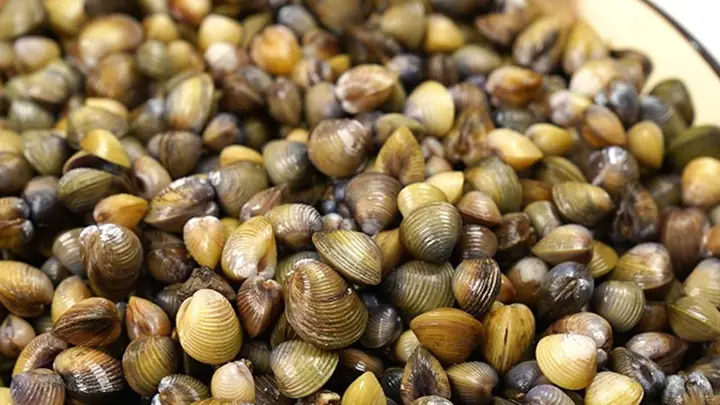 Cách Nấu Bún Hến Ngon: Công Thức Chuẩn Vị Xứ Huế Đậm Đà