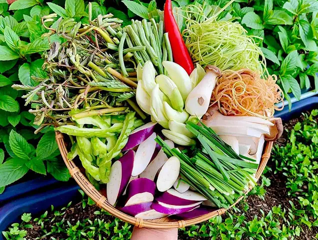 Hướng Dẫn Cách Nấu Bún Mắm Nước Lèo Chuẩn Vị Miền Tây Ngon Nhất