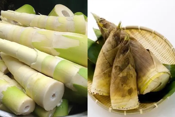 Cách Nấu Bún Măng Tươi Chay Thanh Đạm, Ngọt Ngào Chuẩn Vị