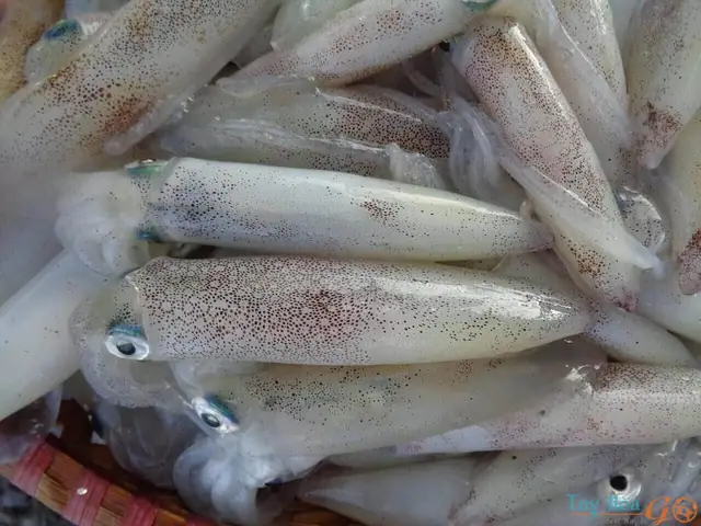 Hướng Dẫn Cách Nấu Bún Mực Miền Trung Ngon Miệng, Dễ Làm