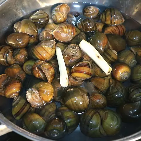 Cách Nấu Bún Ốc Dọc Mùng Ngon Chuẩn Vị Tại Nhà Cách Nấu Bún Ốc Dọc Mùng Ngon Chuẩn Vị Tại Nhà