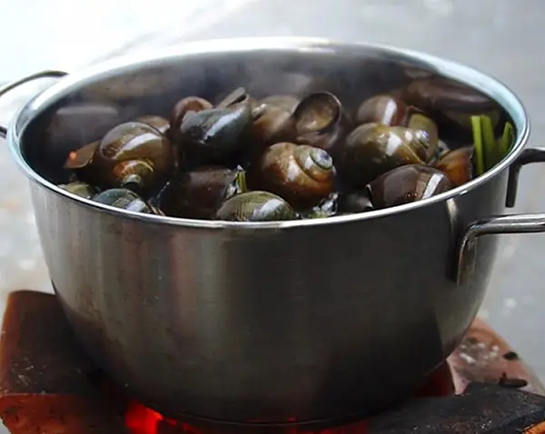 cách nấu bún ốc hà nội cách nấu bún ốc hà nội