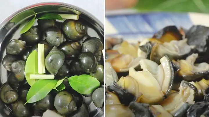 Hướng Dẫn Chi Tiết Cách Nấu Bún Ốc Nguội Thơm Ngon Tại Nhà Hướng Dẫn Chi Tiết Cách Nấu Bún Ốc Nguội Thơm Ngon Tại Nhà