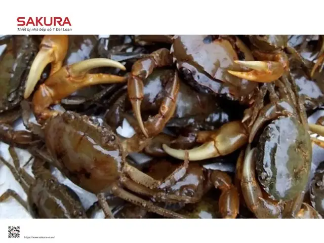Cách Nấu Bún Riêu Cua Đồng Đơn Giản Thơm Ngon Ngay Tại Nhà Cách Nấu Bún Riêu Cua Đồng Đơn Giản Thơm Ngon Ngay Tại Nhà