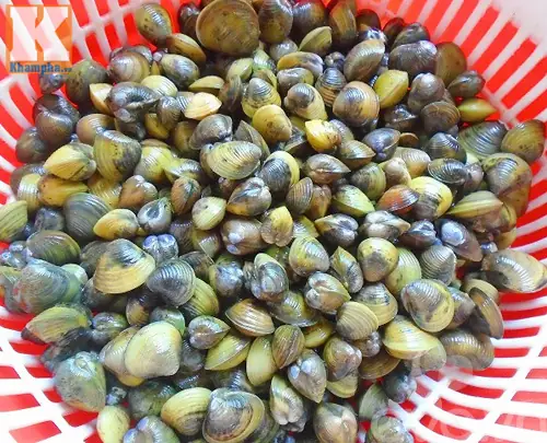 Hướng Dẫn Cách Nấu Bún Riêu Hến Thanh Mát, Đậm Đà Chuẩn Vị